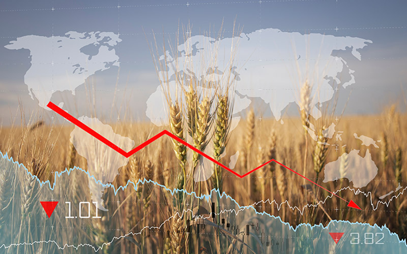 Global Food Crisis and Political Risk - TorchStone Global